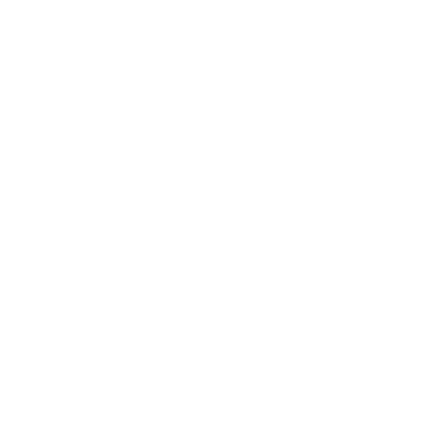 Options for Every Buyer icon