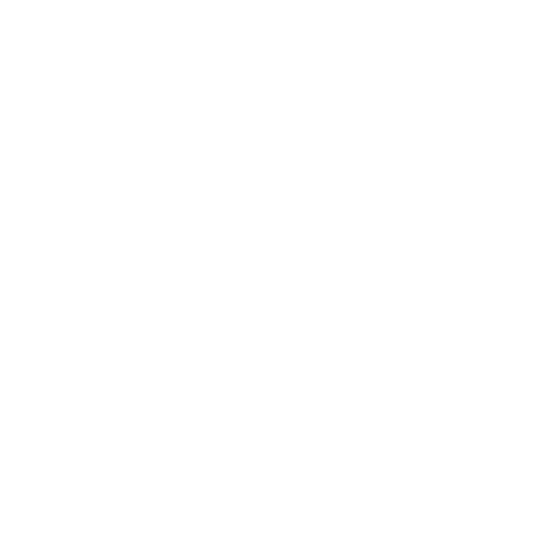 Long-Term Value icon